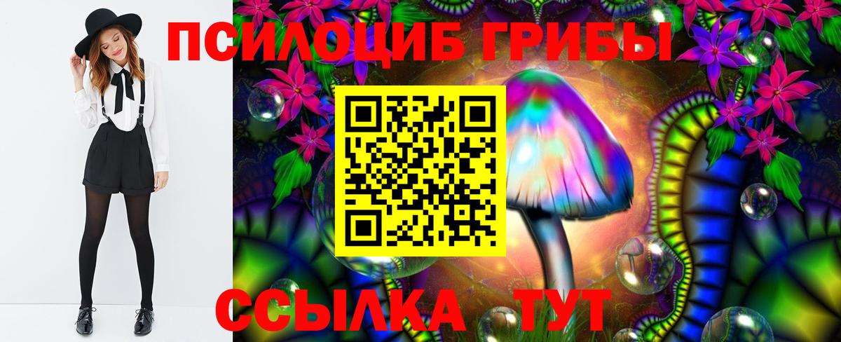 Галлюциногенные грибы Magic Shrooms Чайковский